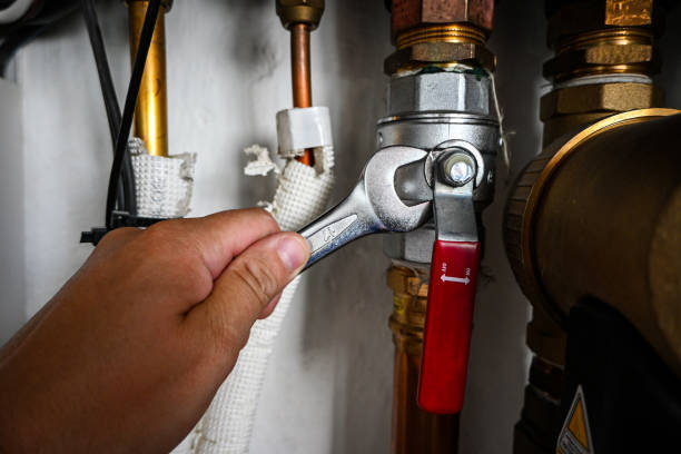 Best Toilet Repair Services  in Mercedes, TX